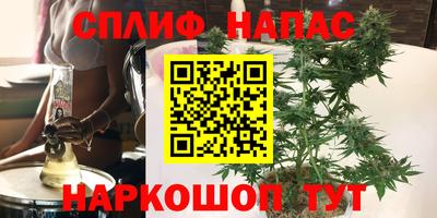 сатива Берёзовский