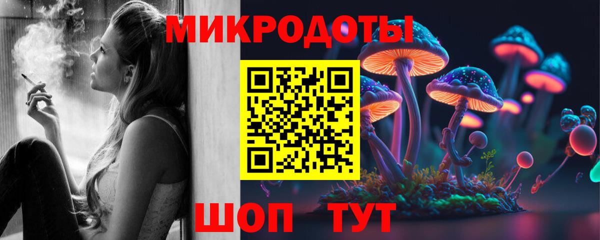 закладки  Галлюциногенные грибы Magic Shrooms  Вход с VPN  Киселёвск 